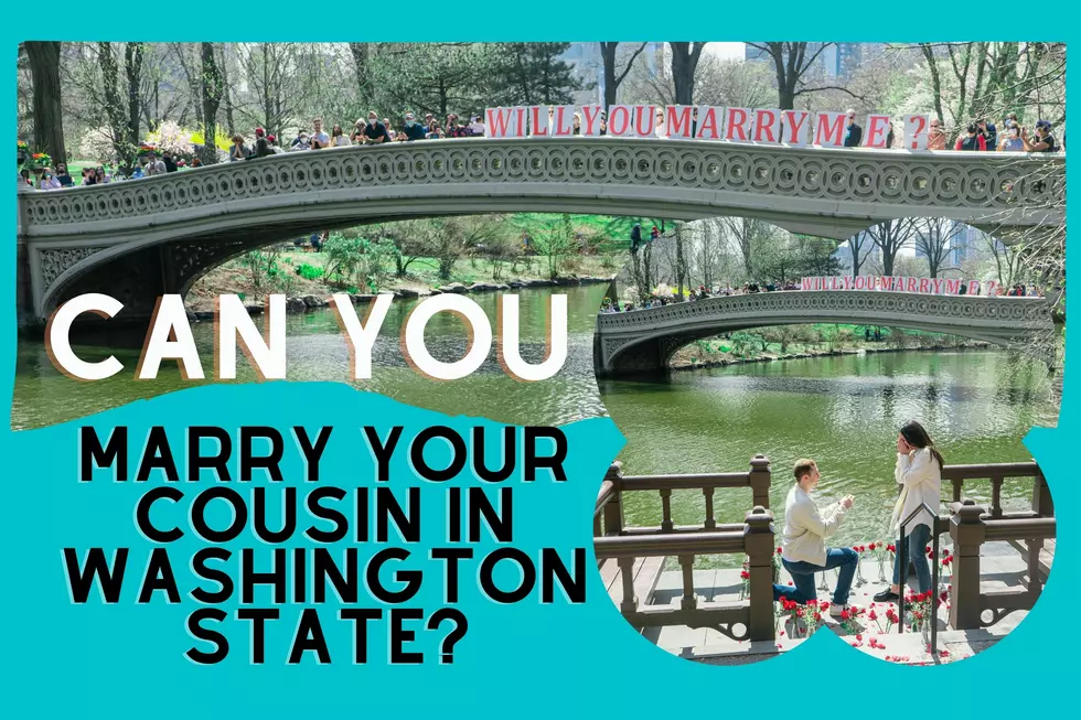 20 States You Can Marry Your Cousin: Is Washington State One of Them?