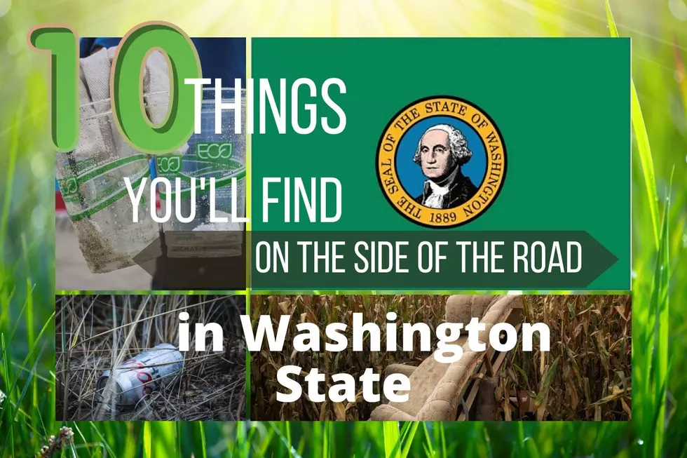 10 Ridiculous Things Nasty Nitwits Dump on the Side of the Road in WA State