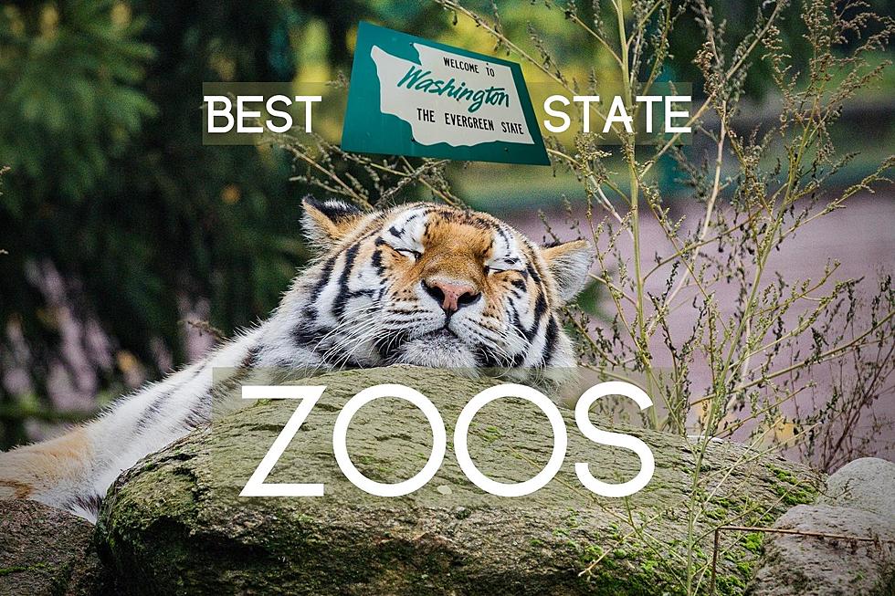 Visit These 5 Terrific Zoos in WA