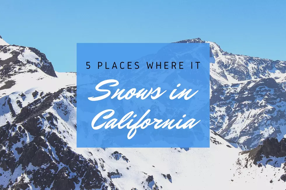 5 Gorgeous Freezing Places to Go Find Some Snow in California