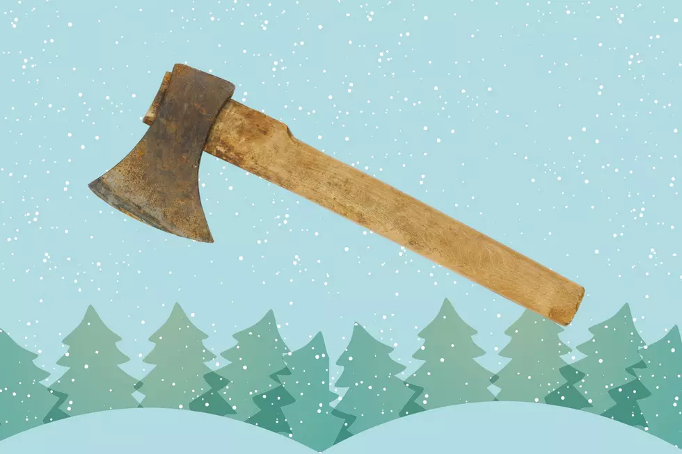 6 Places to Chop a Christmas Tree in WA: The Christmas Loophole