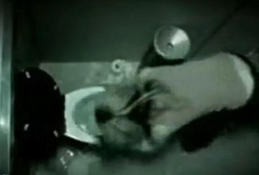Drunk Girl Falls Into Toilet [Video]