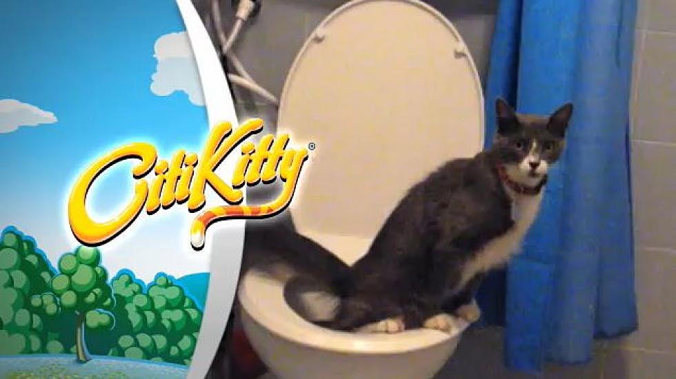 Citikitty Cat Toilet Training Kit [Video]