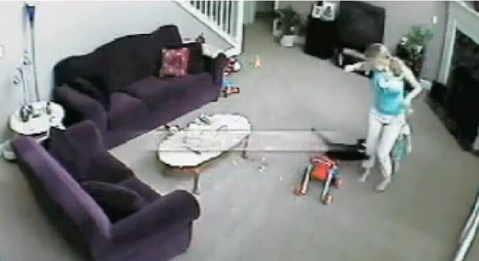 Cat Protects Child From Mom [Video]