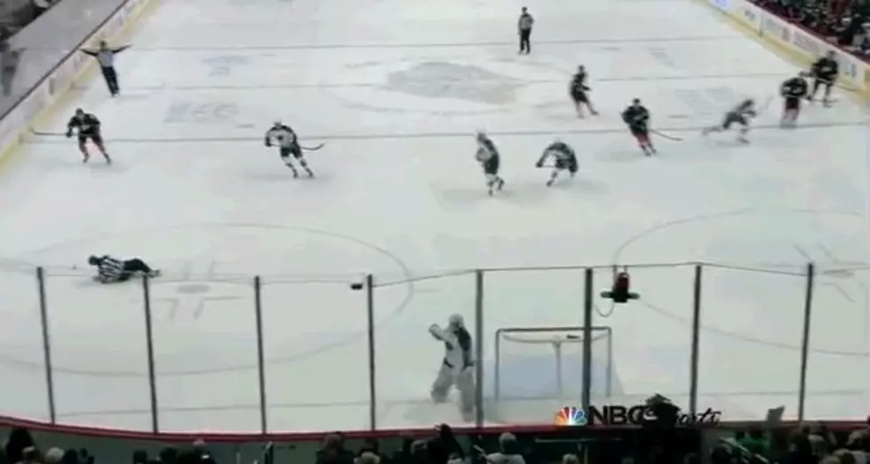 Hockey Player Takes Out The Ref With A Slapshot [Video]