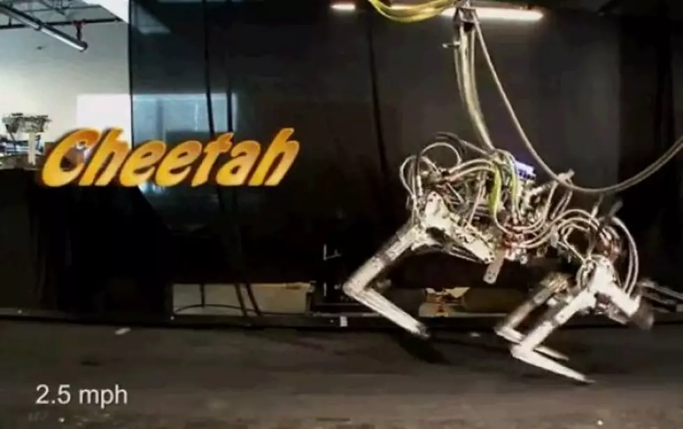 The &#8216;Cheetah Robot&#8217; Is Faster Than You [Video]