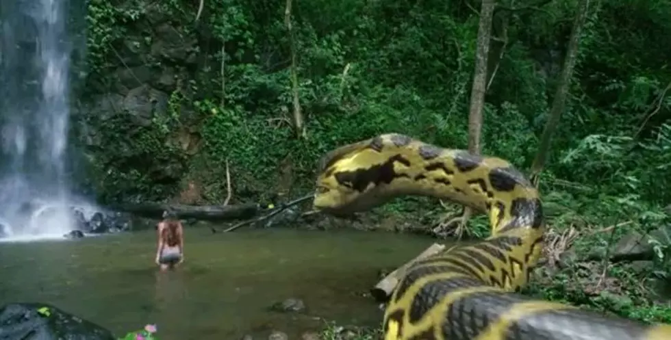 ‘Piranhaconda’ Is A Real Movie Coming To ‘SyFy’ [Video]