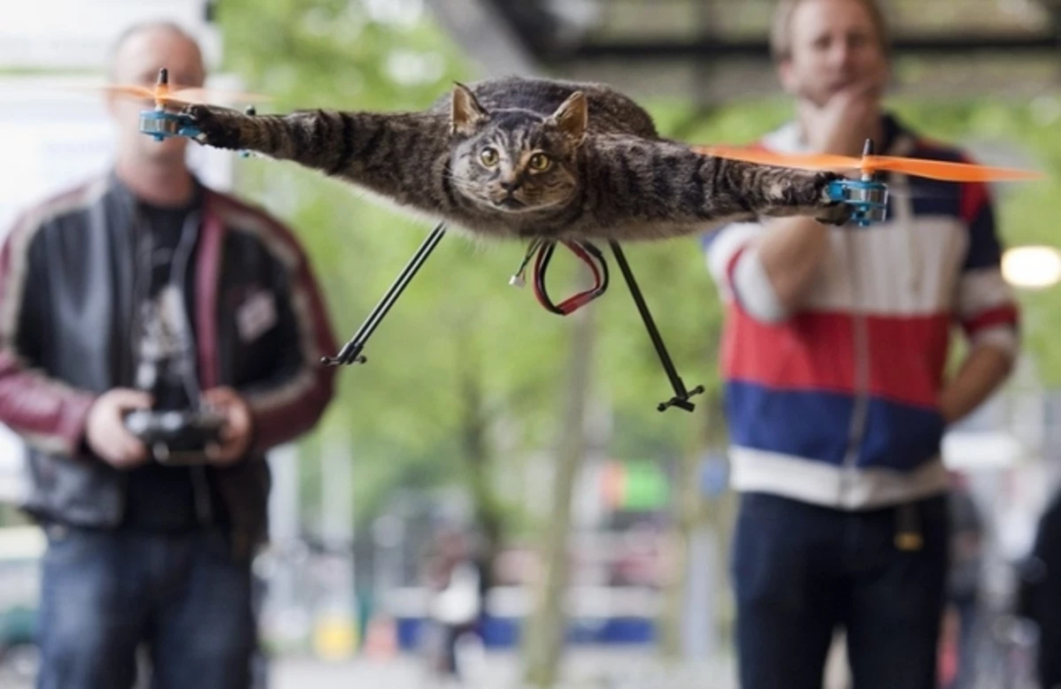 Man Turns His Dead Cat Into A Cat Helicopter [Video]