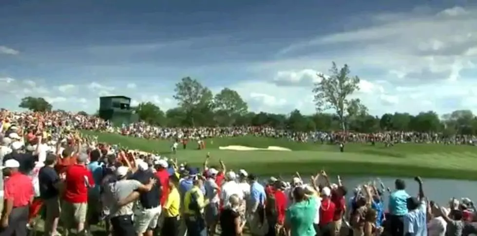 Tiger Woods Is Still Good At Golf [Video]