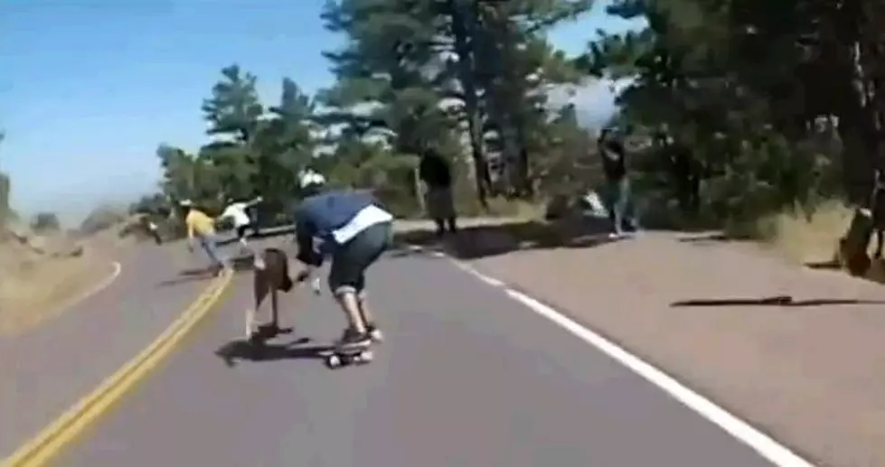 Deer Rams A Down Hill Skateboarder Off The Road [Video]