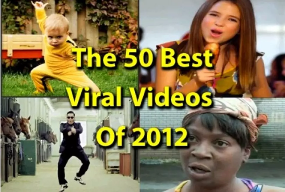The Top 50 Viral Videos of 2012 All Wrapped Into One Video