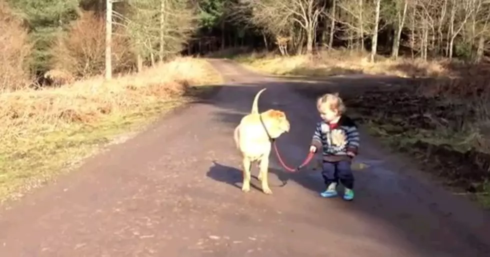 These Best Friends Will Fix Any Bad Mood You May Be In [Video]