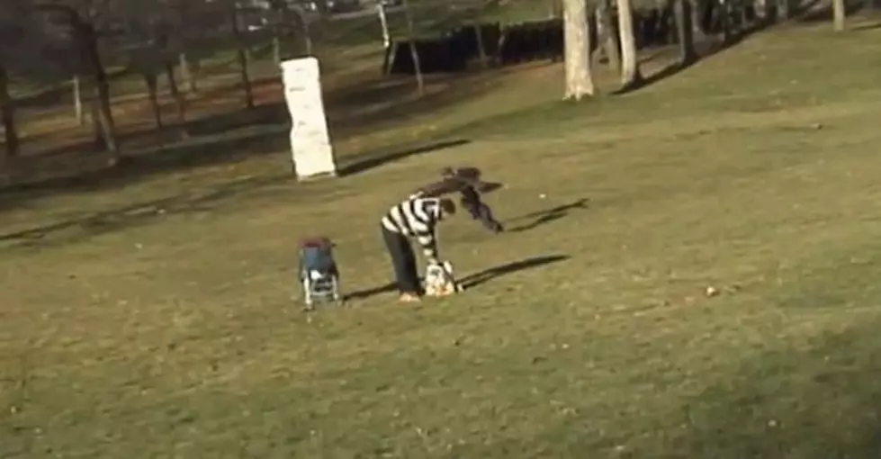 Golden Eagle Tries To Snatch Up A Baby In The Park [Video]