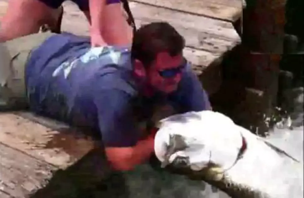 Man Almost Loses His Arm Trying To Feed The Fish [Video]