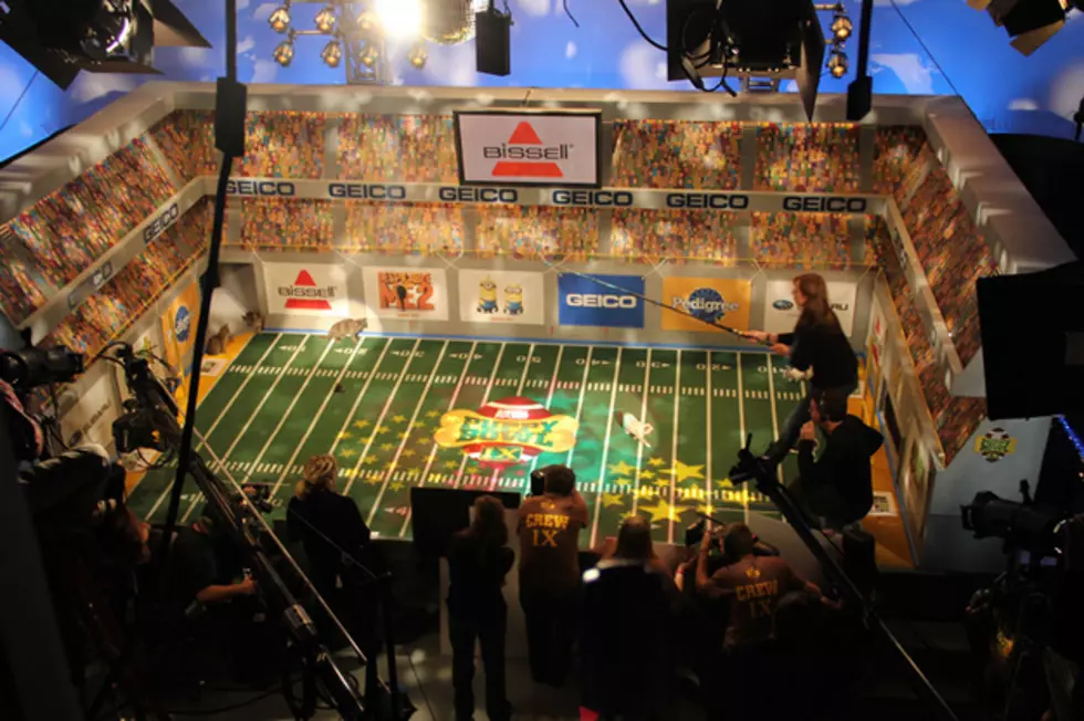 Behind The Scenes At Puppy Bowl 2013 Might Be Cuter Than The Actual Show [Video]