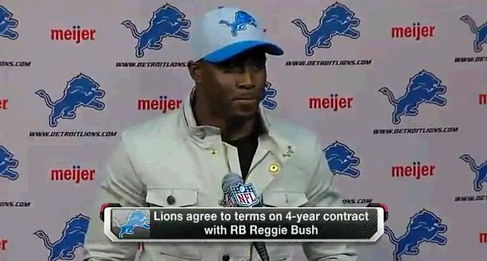 Lions Sign Bush!