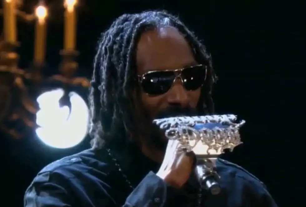 Snoop Lion Gives Awful Performance On Conan [Video]