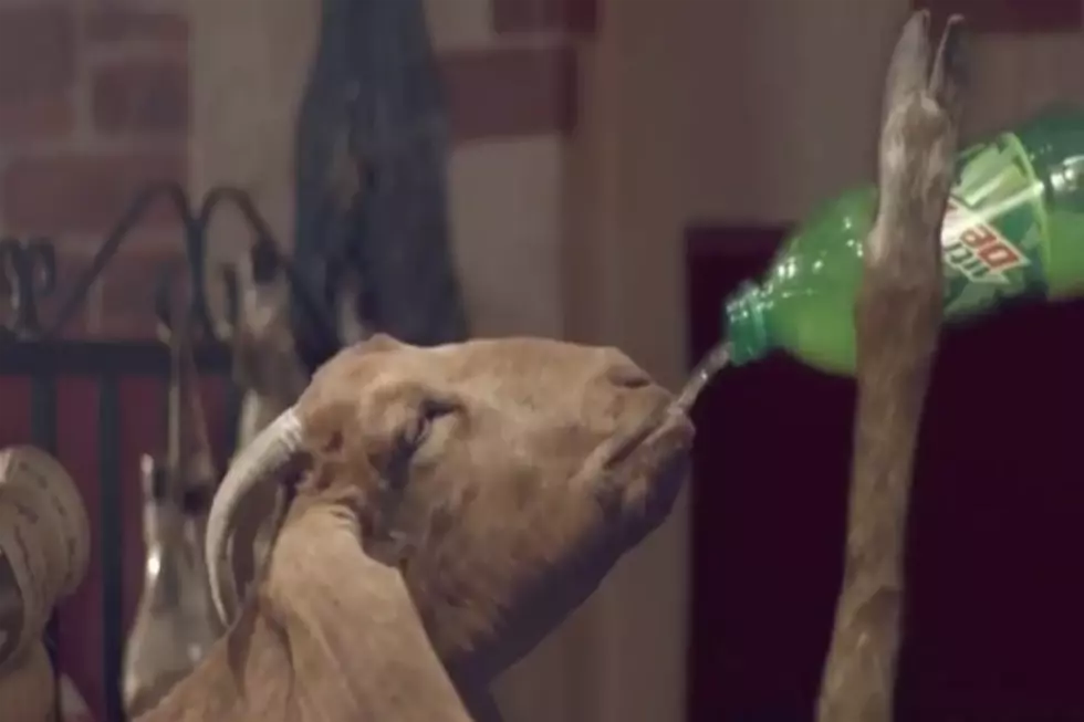Tyler The Creator Plays Goat in New Mountain Dew Ad