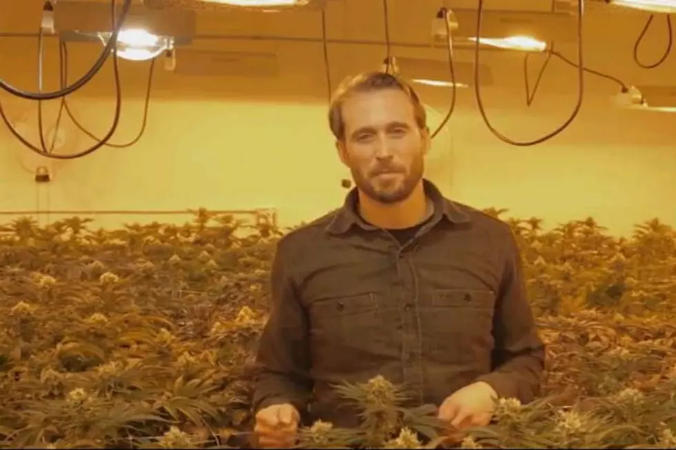 Vice&#8217;s New Documentary &#8216;Canada&#8217;s War on Weed&#8217; Sheds Some Light on this 6 Billion Dollar Business [Video]