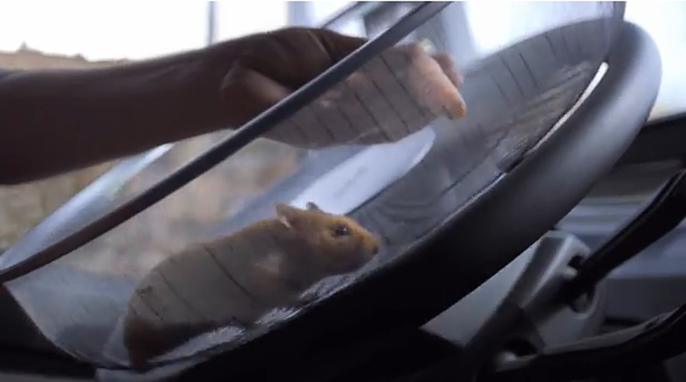 Volvo Let A Hamster Drive Their Semi To Show Off The Steering [Video]