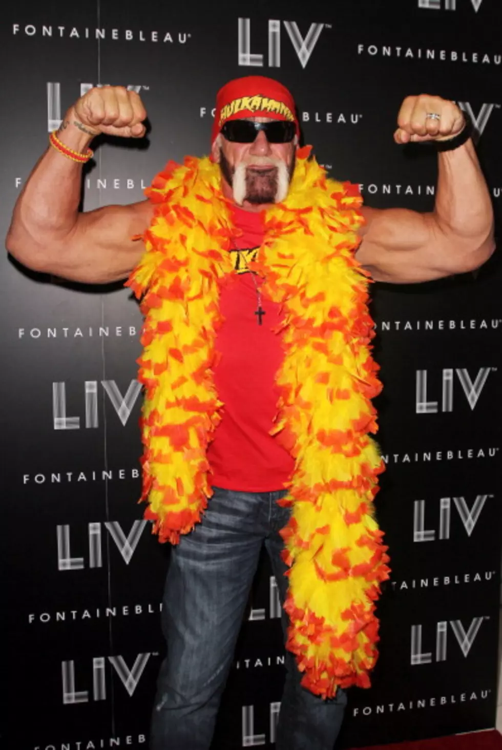 Hulk Hogan Returns to WWE