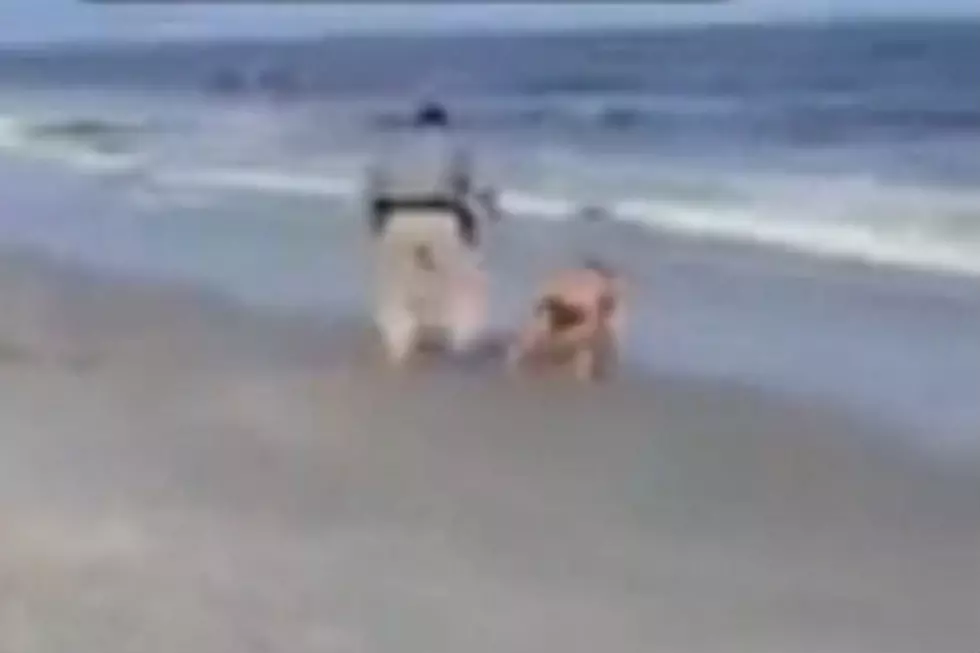 Drunk Beach Girl Rolls Into Ocean To Escape Police [Video]