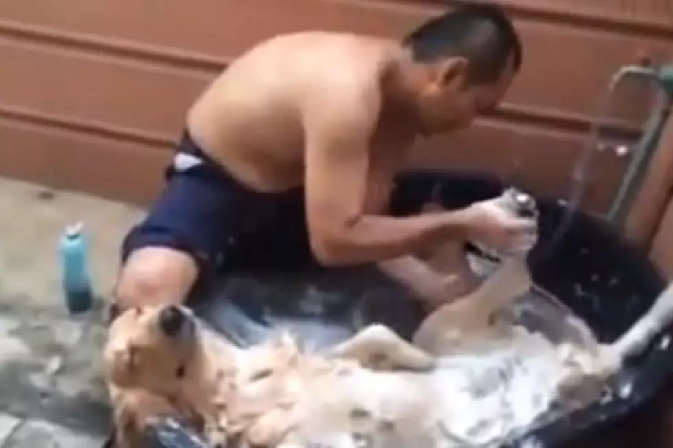 This Dog Loves Spa Time More Than Anyone In The Entire World [VIDEO]