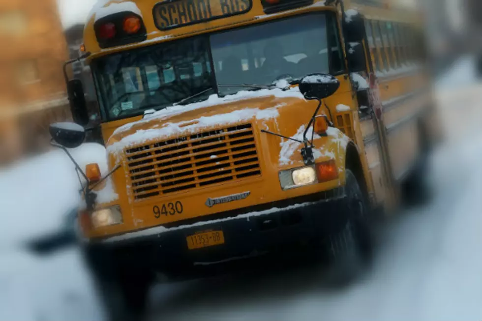 Bus Slides Into Ditch