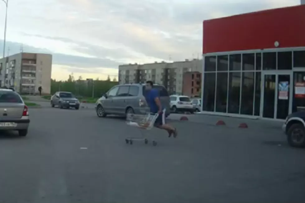 Guy Riding Grocery Cart Full Of Beer Loses Dignity and Beer [Video]