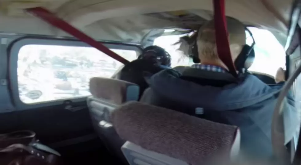 Goose Crashes Through Airplane Windshield [Video]