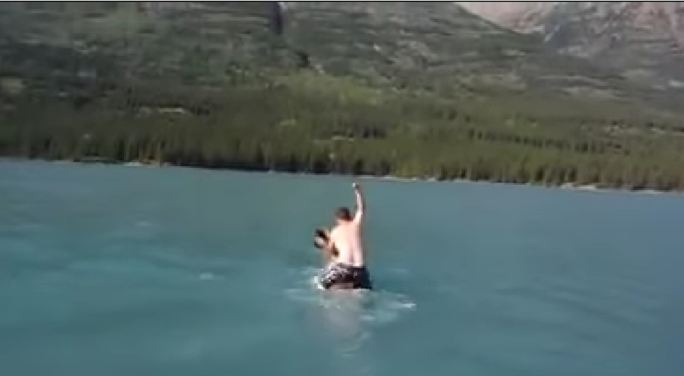 Who Needs Jet Ski When You Can Get Drunk And Ride A Moose? [Video]