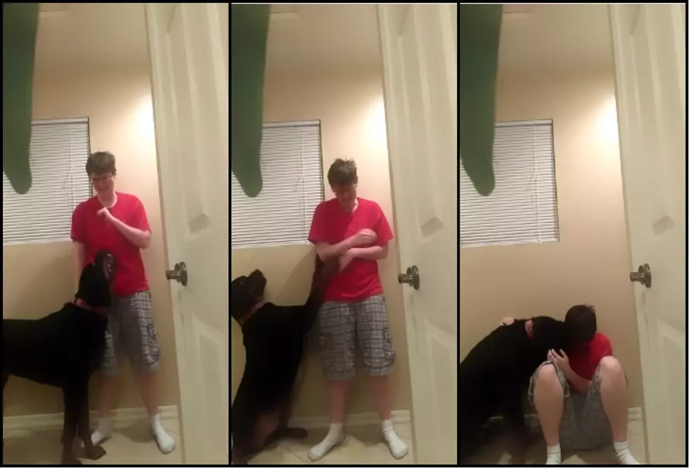 Dog Consoles Owner Who Is Going Through Aspergers Episode [Video]