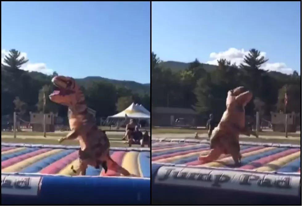 Inflatable T-Rex Running On Jump Pad Will Cure Any Bad Day [Video]