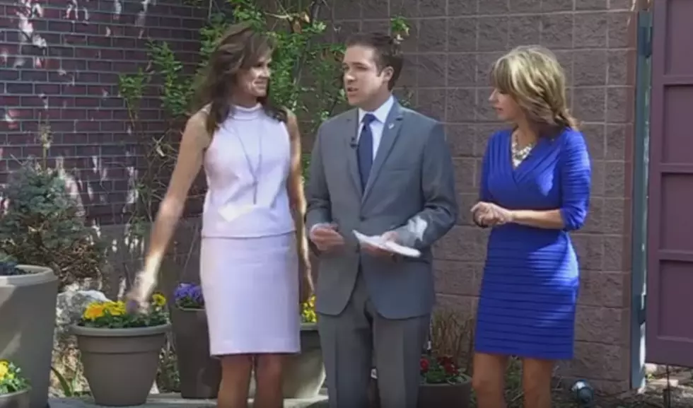These Two News Anchors Really Hate Each Other [Video]