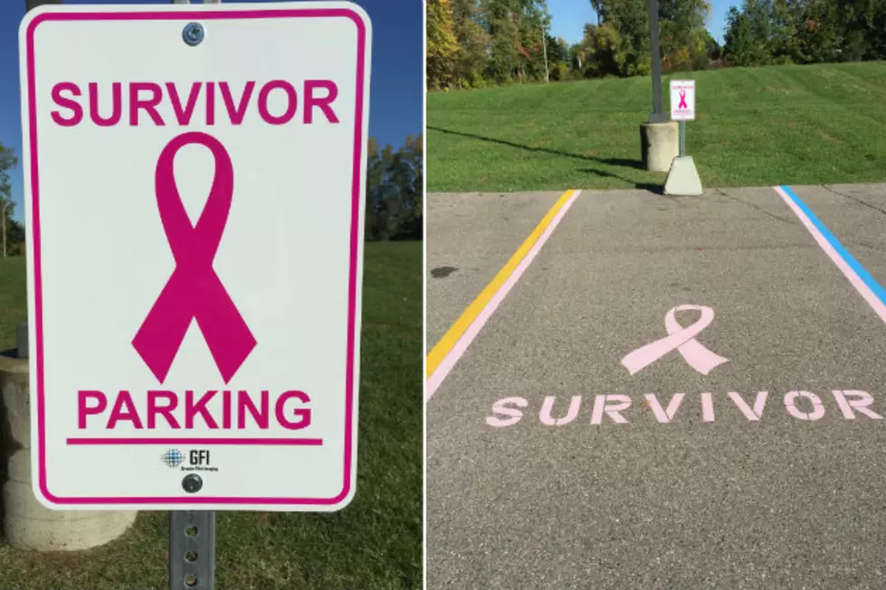 Put Cancer In Park Honors Cancer Survivors In Mid-Michigan