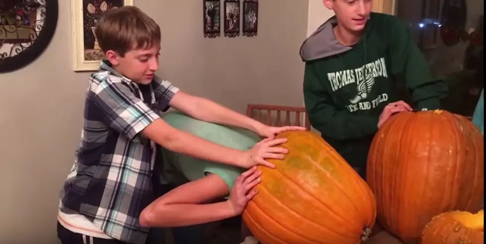 Girl Gets Head Stuck In Pumpkin [Video]