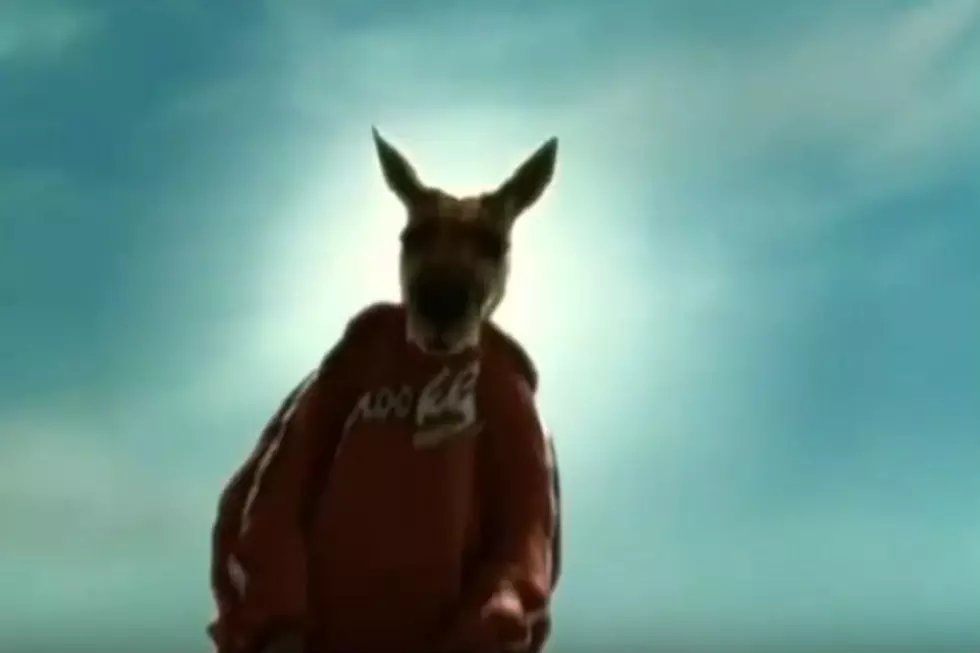 Watch The Gangster Movie Remake That The Fighting Kangaroo Deserves [Video]
