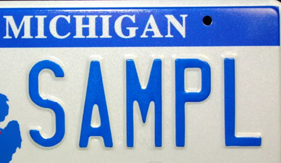 New Michigan Senate Bill Approves ‘Choose Life’ License Plates