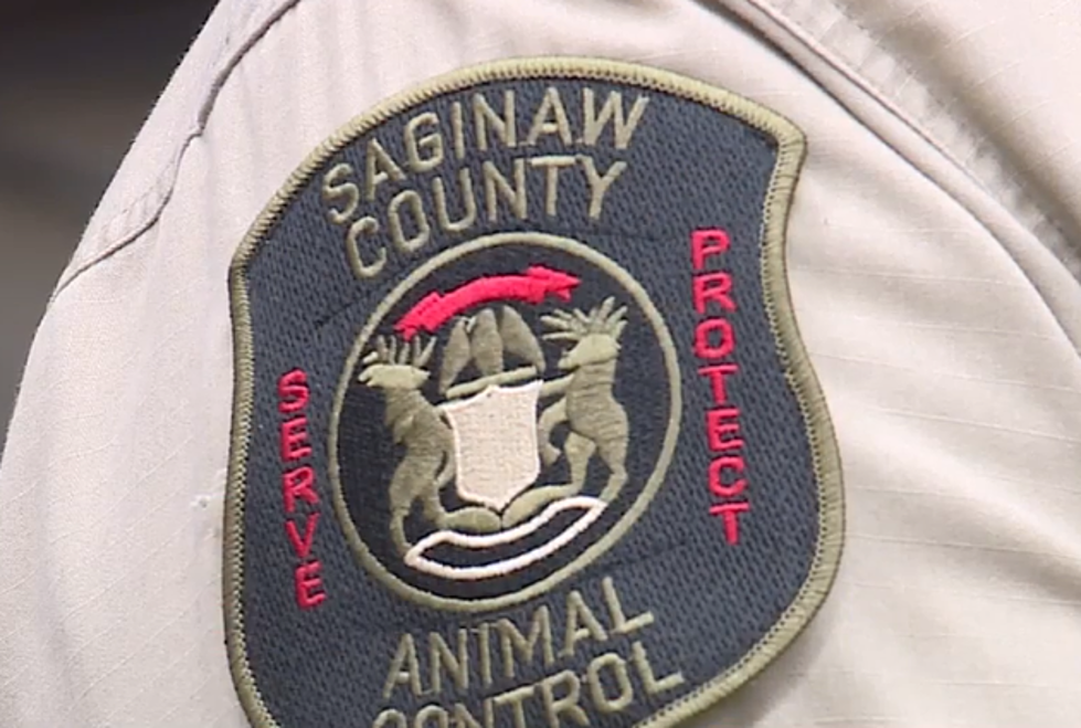 Animal Control Officers In Saginaw Now Allowed To Carry Guns