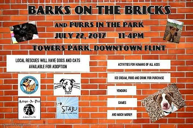 Genesee County Animal Shelter Hosting &#8216;Barks On The Bricks&#8217; This Weekend