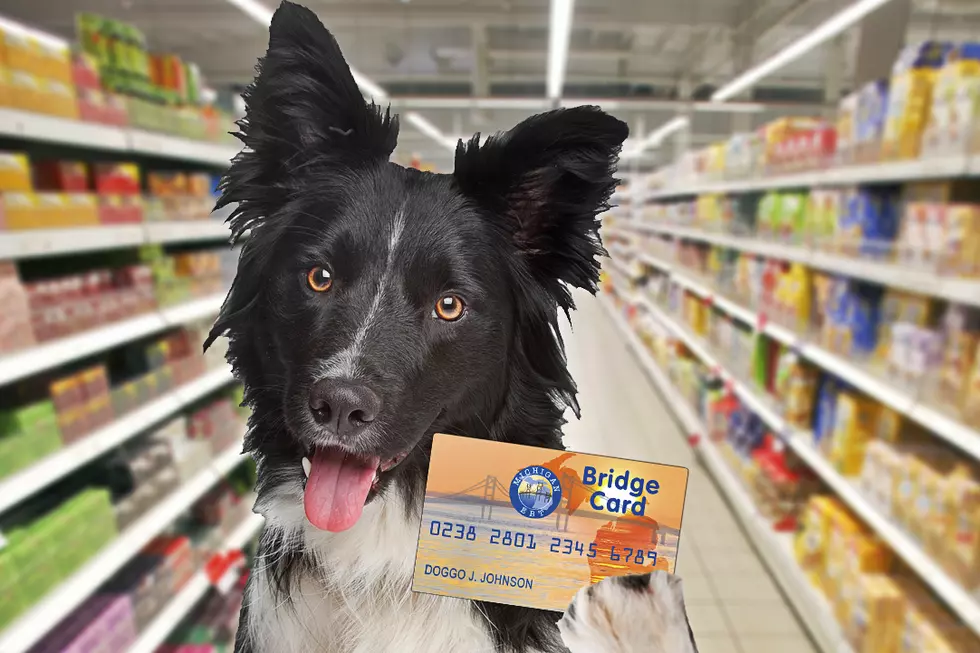 Food Stamps for Pets — A Real Thing That Might Happen