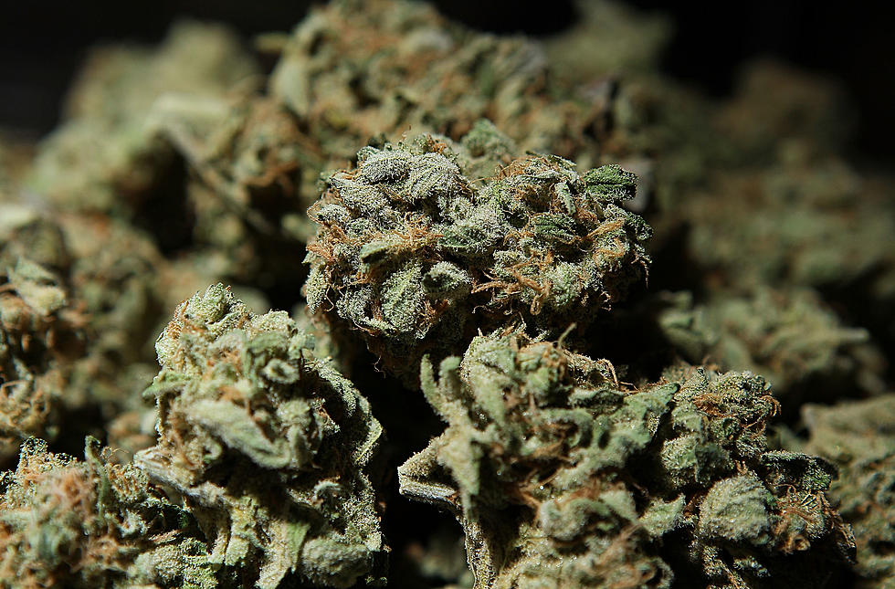 The Marijuana Regulatory Agency Issues Recall On Michigan Products