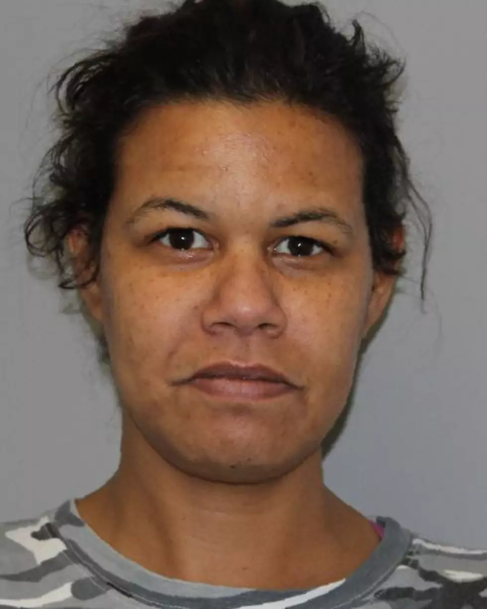 Hudson Valley Woman Accused of Stealing, Forging Checks