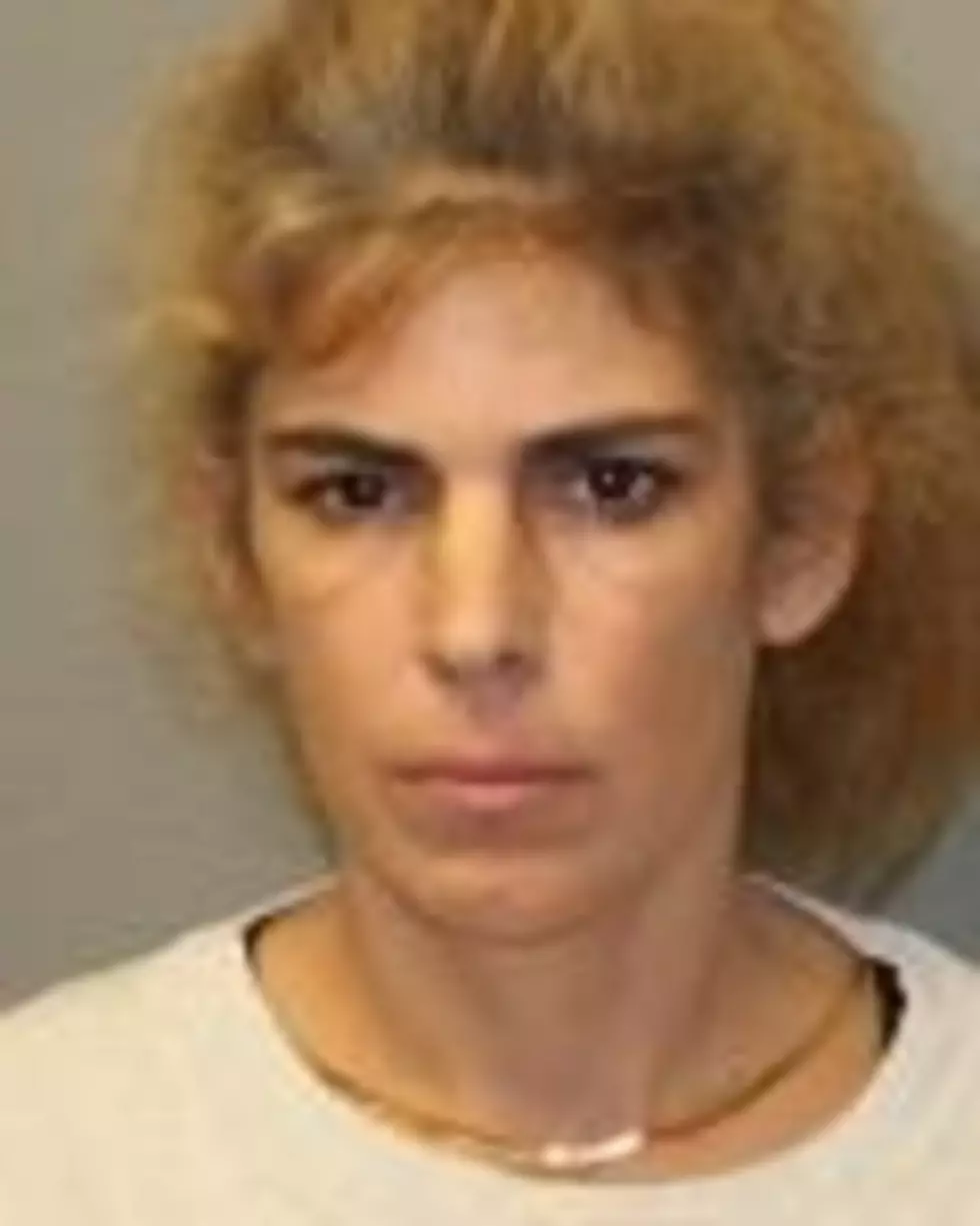 Police Charge Hudson Valley Woman With Animal Cruelty