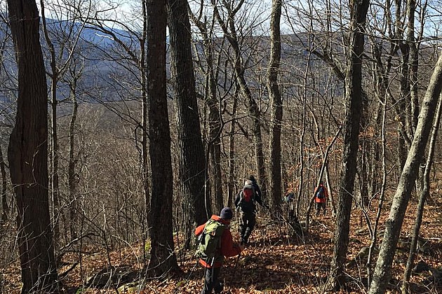 Hiker Rescued After Icy Slide in Catskills