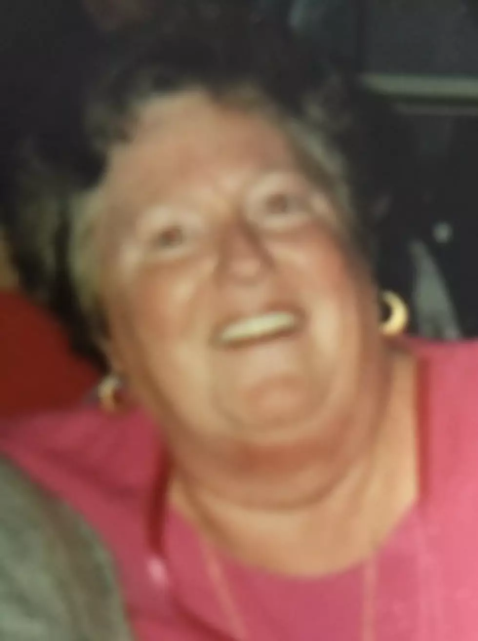 Ann Light, a Wappingers Falls Resident, Dies at 70