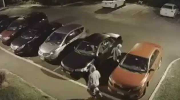 Police Share Video of Thieves Breaking Into Car
