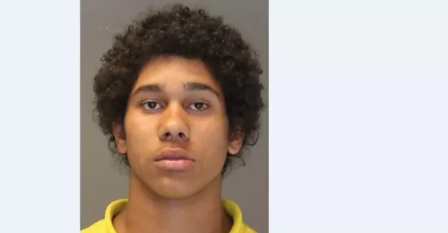 Hudson Valley Teen Charged with Killing Teen