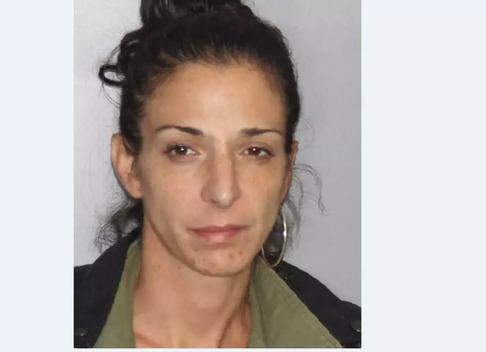 Hudson Valley Woman Arrested for Stealing From Local Ice Cream Stand