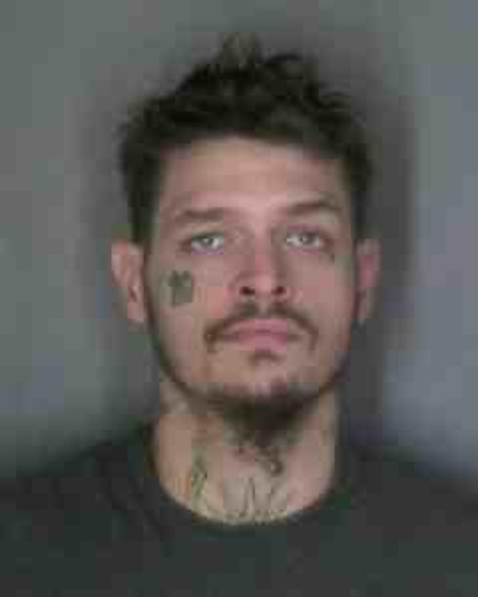 Pleasant Valley Man Arrested During Robbery Investigation